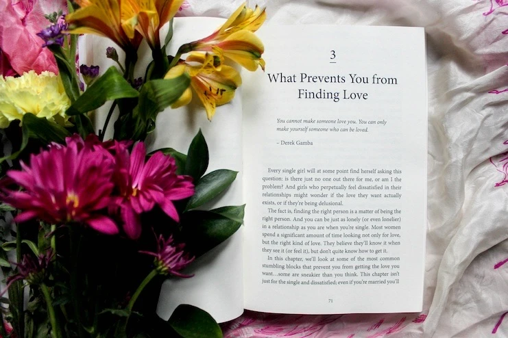 Pokloni za Dan zaljubljenih- Knjiga
