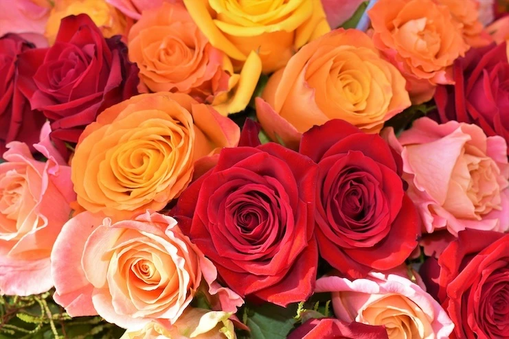 Pokloni za Dan zaljubljenih- cveće
