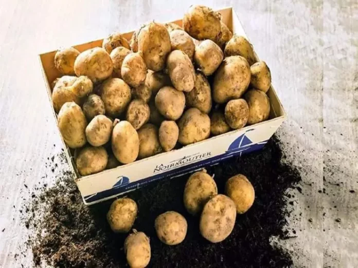 najskuplji-krompir-na-svetu