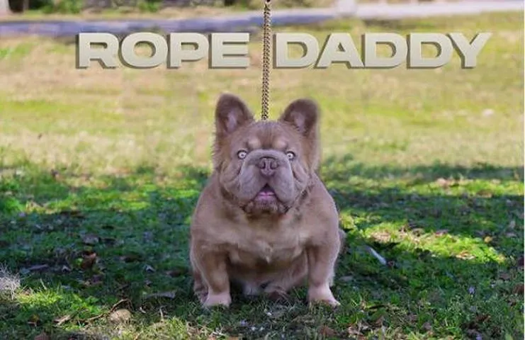 rope-daddy